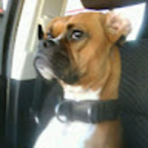 Meet your Posher, Danny